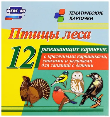 Птицы лесов, садов и парков - описание и фото - ОМ Плешаков