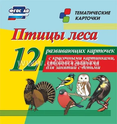 Кто где живёт? Звери и птицы леса ПИТЕР 23454974 купить за 161 ₽ в  интернет-магазине Wildberries
