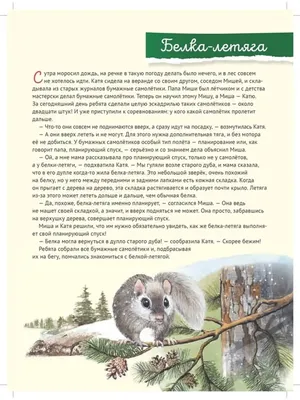 Небольшой поползневый птицы леса на березе Стоковое Фото - изображение  насчитывающей рождений, на: 196825208