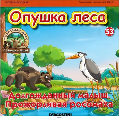 Найди тень Животные леса - карточки Монтессори купить и скачать