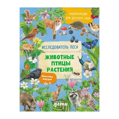 Животные леса для детей — интересные факты про лесных животных