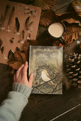 Книга Исследователь леса. Животные. Птицы. Растения . Автор Барбара  Вернзинг. Издательство Альпина.Дети 978-5-9614-8065-8