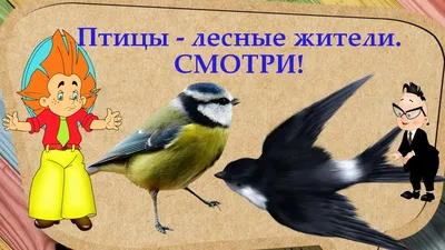 Тарелка декоративная.Птица.Птицы леса.Вальдшнеп.Англия — покупайте на  Auction.ru по выгодной цене. Лот из - Другие страны -, Санкт-Петербург .  Продавец LUISA07. Лот 114512101873762