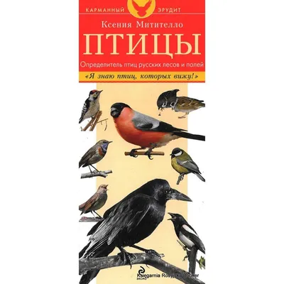 Комплект плакатов \"Дикие и домашние животные и птицы\" (4 плаката \"Животные  леса\", \"Птицы леса\", \"Домашние животные\", \"Домашние птицы\" с методическим  сопровождением): Формат А3 – купить по цене: 224 руб. в интернет-магазине  УчМаг