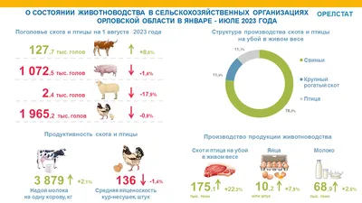 Пернатые соседи. В честь Международного дня птиц в Орле открылась выставка  крылатых | 05.04.2022 | Орел - БезФормата