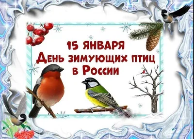 В Орле появилась самая прожорливая птица - Новости Орла и Орловской области  Орелтаймс