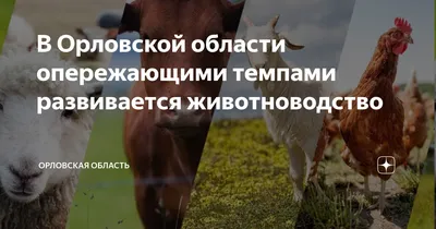 В Орловской области выросло поголовье крупного рогатого скота, свиней и птиц