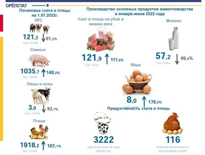 Материалы к распространению редких видов птиц в Орловской области – тема  научной статьи по биологическим наукам читайте бесплатно текст  научно-исследовательской работы в электронной библиотеке КиберЛенинка