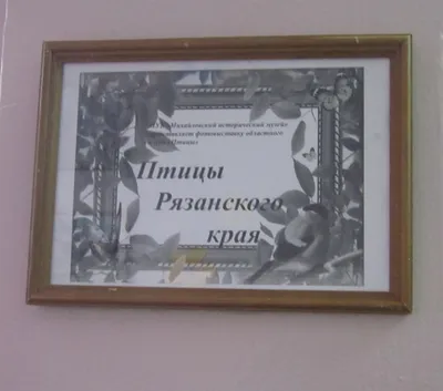https://vk.com/pticy_ryazan