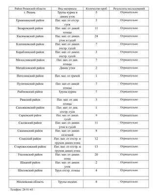В Рязанской области на проезжей части сбили кабана