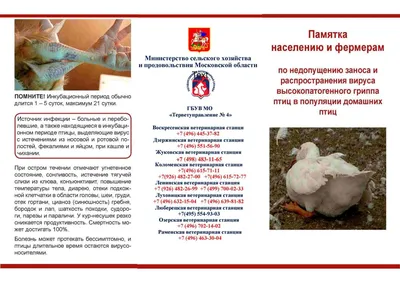 Млекопитающие животные Рязанской области — список, краткое описание и  фотографии