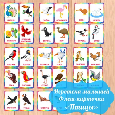 Плакат. \"Птицы средней полосы России. Зимующие.\" | Логомаг