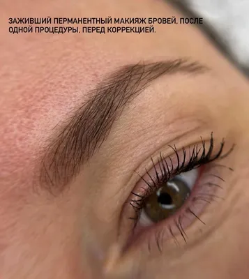 Виды татуажа бровей (перманентного макияжа) | Viktoria Beauty Club