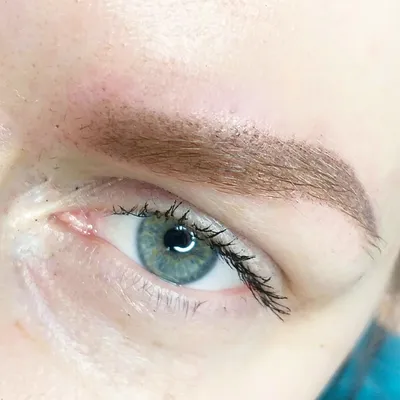 BROWS lamination – Пудровые брови Киев, Акварельные губы Киев, Перманентный  макияж Киев, татуаж Киев, ламинирование ресниц Киев, in lei, permanent make  up kyiv, lips, brows