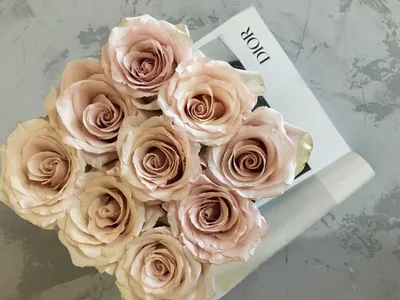 Пудровые розы | Розы, Цветы, Букет