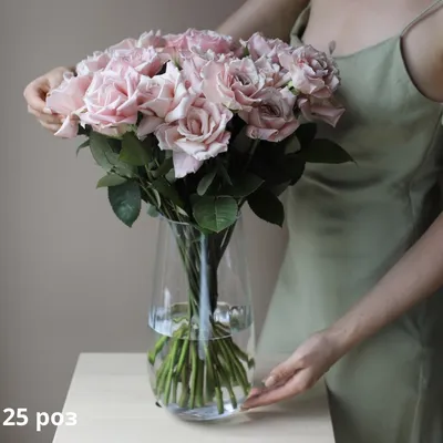 Розы пудрового цвета - фото и картинки: 72 штук