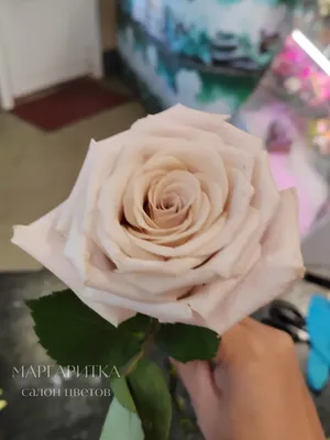 Букет из пудровых роз в вазе - заказать доставку цветов в Москве от Leto  Flowers