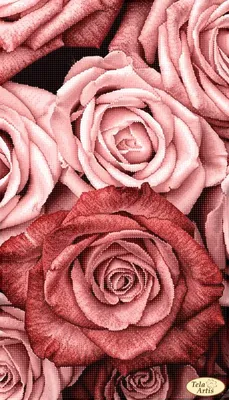 Букет из 21 пудровой розы Мента | Цена — 2940 ₽ | Бесплатная доставка в  Казани | Арт: 29352
