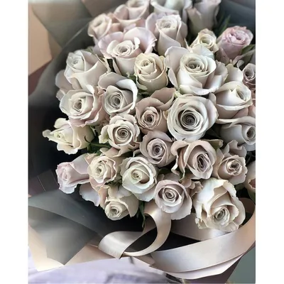 Купить розы Мента пудровые с доставкой по Москве - Служба доставки букетов  роз в Москве.