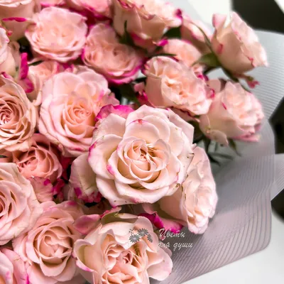 Фотообои Пудровая роза на заказ любой размер, код:10265 | ЭкоПринт