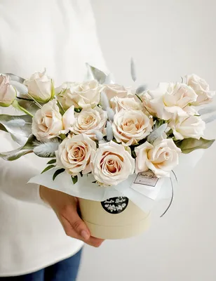 Фотообои Пудровые розы №abu74563 - цена, фото, отзывы | АВС-Decor