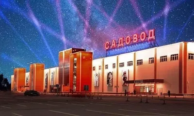 Купить Пуховик коричневый размер 48 оптом Садовод Интернет-каталог