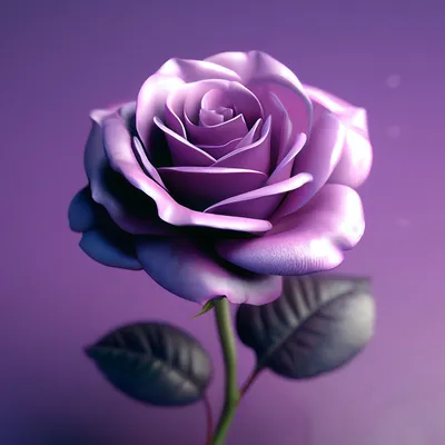 Роза Пурпл Бьюти. (Purple Beauty) Ч/Г купить в интернет-магазине ЦВІТСАД с  доставкой по Украине