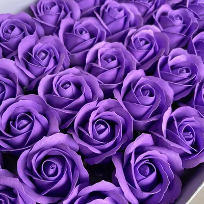 Купить Роза «Сиреневая» из каталога Другие цвета в Сыктывкаре - «Флориска».