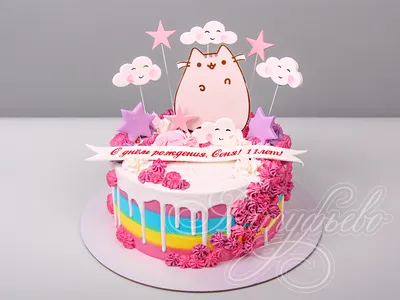 Мягкая игрушка, Пушин кэт, Pusheen cat с чипсами, Серый (105-gv) купить по  низкой цене в Киеве, Харькове, Одессе, Украине
