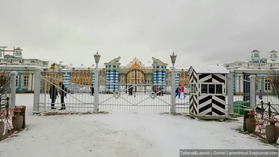 Пушкин зимой фото фотографии