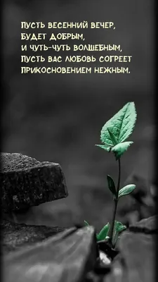 Картинки с надписями. ПУСТЬ ТВОЙ ЗИМНИЙ ВЕЧЕР БУДЕТ ДОБРЫМ!.