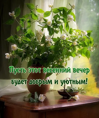 Картинка: Пусть весенний вечер будет добрым