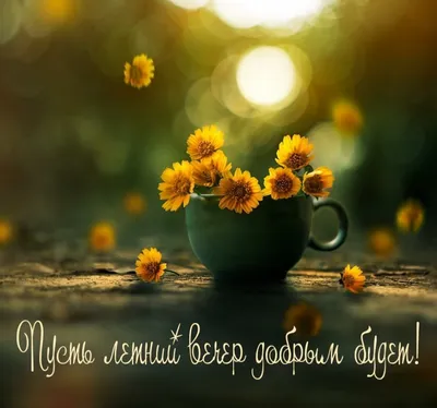 Пусть вечер будет добрым!☕ | Открытки Тедди | ВКонтакте