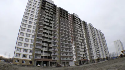 Июнь 2023 - ЖК Радуга Сибири в Новосибирске - Официальный отчет