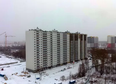 Купить квартиру в ЖК Радуга Сибири от застройщика в Новосибирске —  Недвижимость на сайте Living.ru