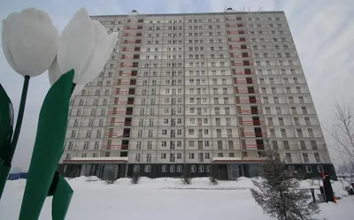 Школа за 1,3 млрд рублей появится в микрорайоне «Радуга Сибири» в  Новосибирске - Рамблер/новости