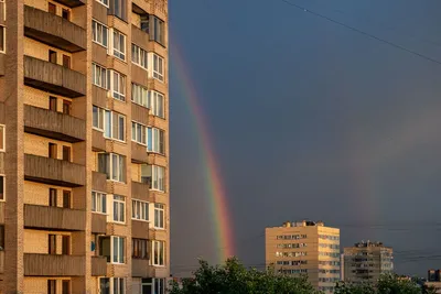Над Петербургом появилась радуга | Вечёрка