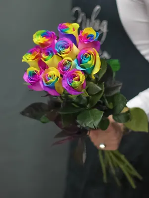 Свежие радужные розы Mondial с крупным бутоном в Красноярске