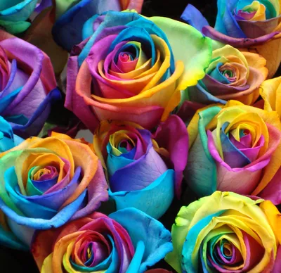 Радужные розы | Букет радужных роз |