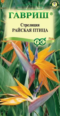 Цветок крана, райская птица, Reginae Strelitzia Стоковое Фото - изображение  насчитывающей кран, клюв: 103366760