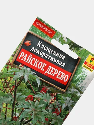 Райское дерево, реалистично, красиво, …» — создано в Шедевруме