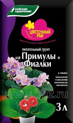 Шкатулка \"Райское дерево\" в интернет-магазине Ярмарка Мастеров по цене 7500  ₽ – SU1A6BY | Шкатулки, Санкт-Петербург - доставка по России