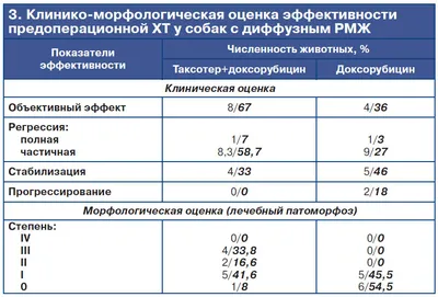 Демодекоз у собак - схема лечения, фото, симптомы и признаки заболевания
