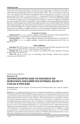 Послеродовая эклампсия у собак, симптомы, диагностика и лечение
