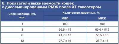 Опухоли молочных желез у собак - Ветеринарный Центр «Прайд»