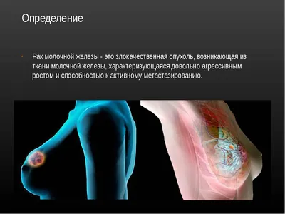 Фиброаденоматозная гиперплазия молочных желез | Ветеринарная клиника  доктора Шубина