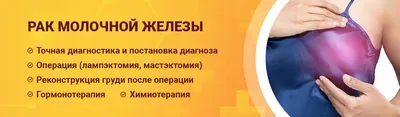 Современный подход к лекарственной терапии спонтанного рака молочной железы  у собак и кошек — ИРСО