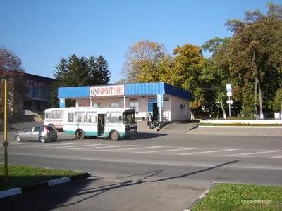 Культурно-спортивный центр открыли в Ракитном Белгородской области» в блоге  «Культура, Спорт, Общество» - Сделано у нас