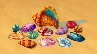 Купить Океанские ракушки 3-4 дюйма, большие натуральные морские ракушки для  поделок, аквариумных рыб и коллекционеров ракушек | Joom