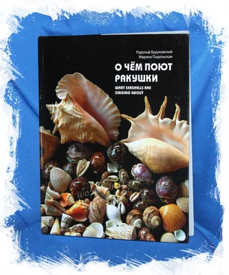 В Новгородскую область привезли более 200 тонн морской ракушки из Дагестана  | Новгородские Ведомости